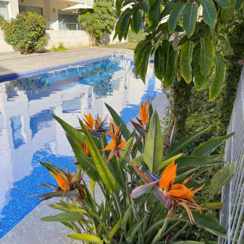 Wohnen am Meer: Erdgeschosswohnung mit Garten in Torrevieja