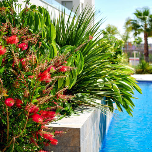 Wohnen am Meer: Erdgeschosswohnung mit Garten in Torrevieja