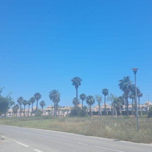 Gemütlicher Bungalow mit 2 Schlafzimmern und Garten in Torrevieja