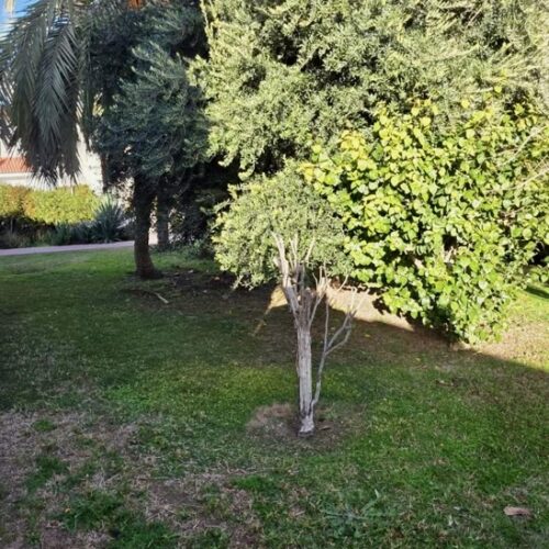 Reihenhaus in Calas Blancas