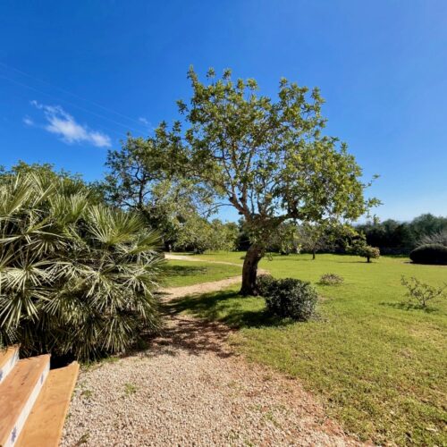 Fantastische Finca mit Meerblick und Pool zwischen S’Alqueria Blanca und Santanyí