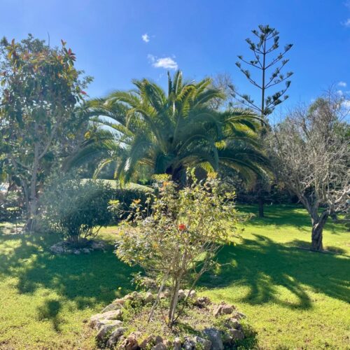 Fantastische Finca mit Meerblick und Pool zwischen S’Alqueria Blanca und Santanyí