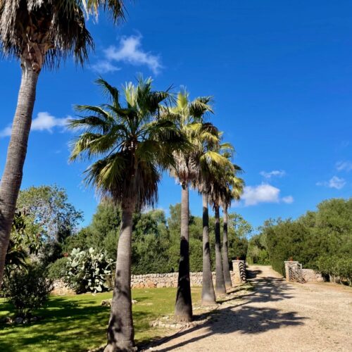 Fantastische Finca mit Meerblick und Pool zwischen S’Alqueria Blanca und Santanyí
