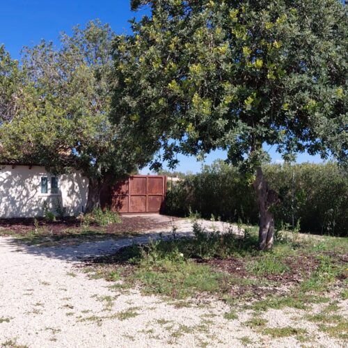 Exklusive Finca mit Gästehaus und großem Grundstück auf Mallorca